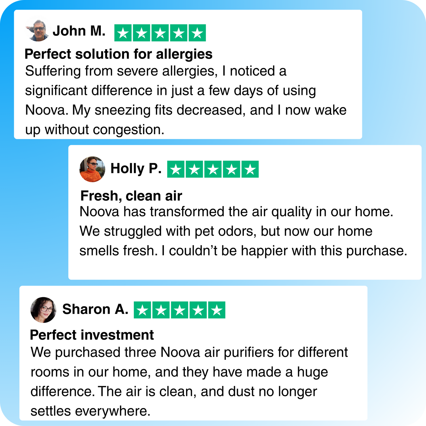 Air purifier for cats, odors, and litter box