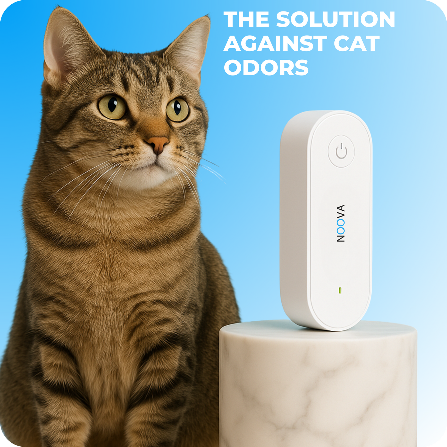 Air purifier for cats, odors, and litter box