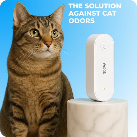 Air purifier for cats, odors, and litter box