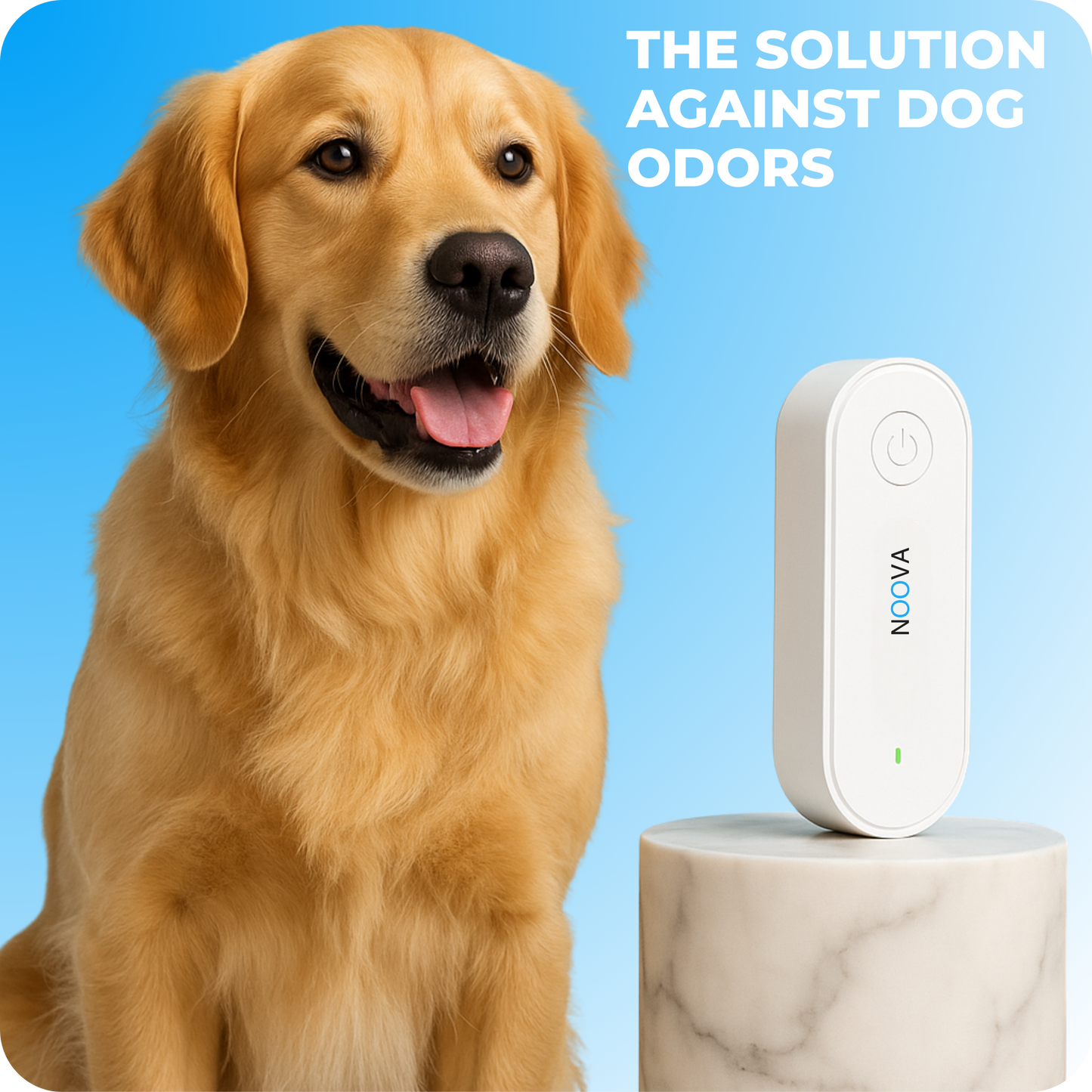Air purifier — eliminates dog odors and parasites