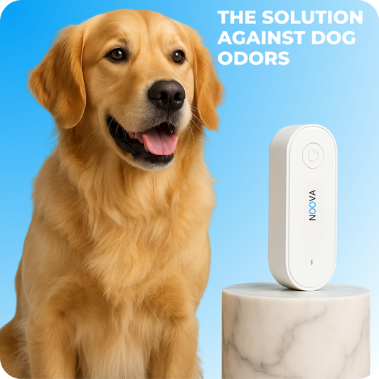 Air purifier — eliminates dog odors and parasites