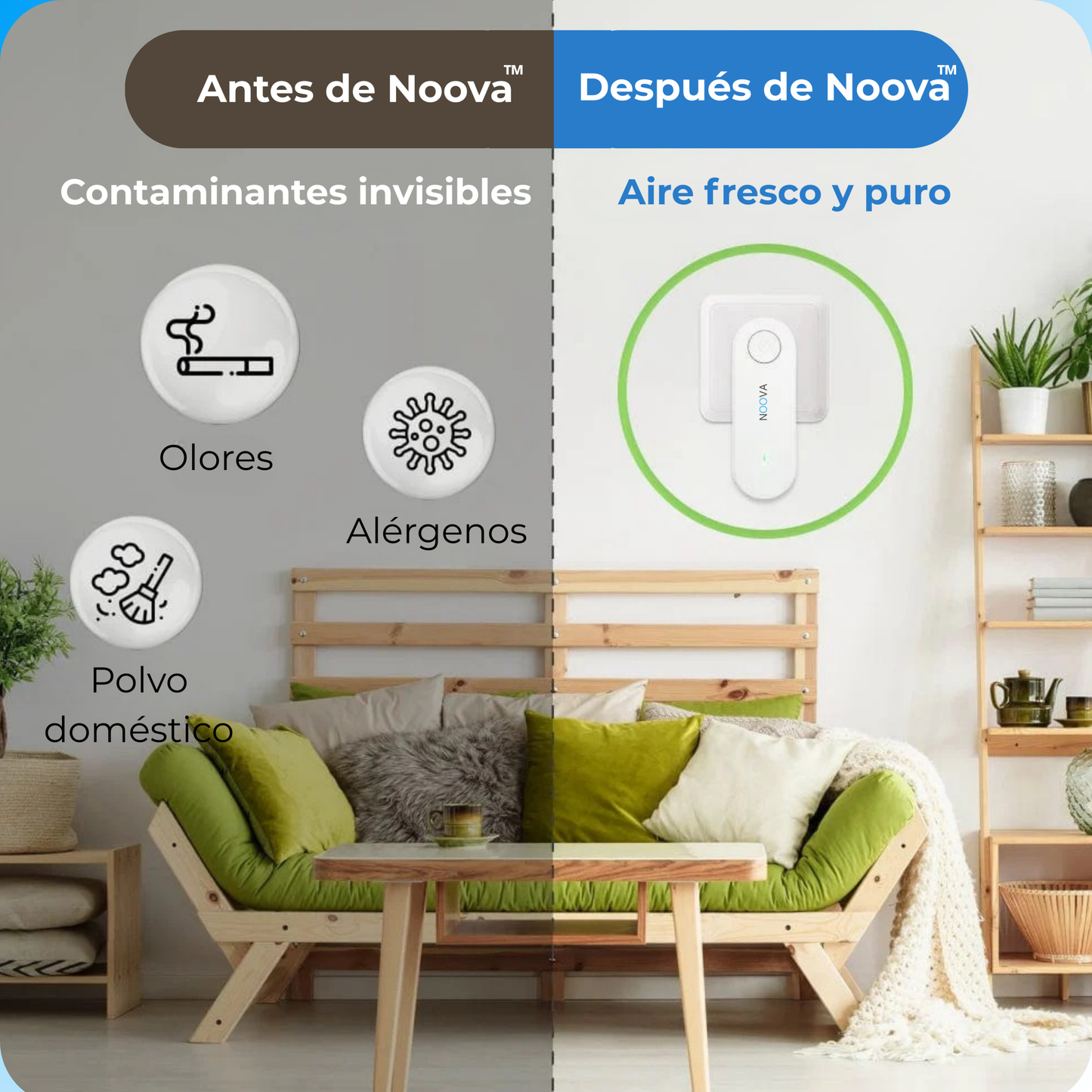 Purificador de aire — elimina los olores de perro y los parásitos