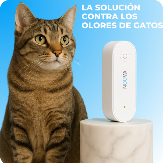 Purificador de aire para gatos, olores y arenero