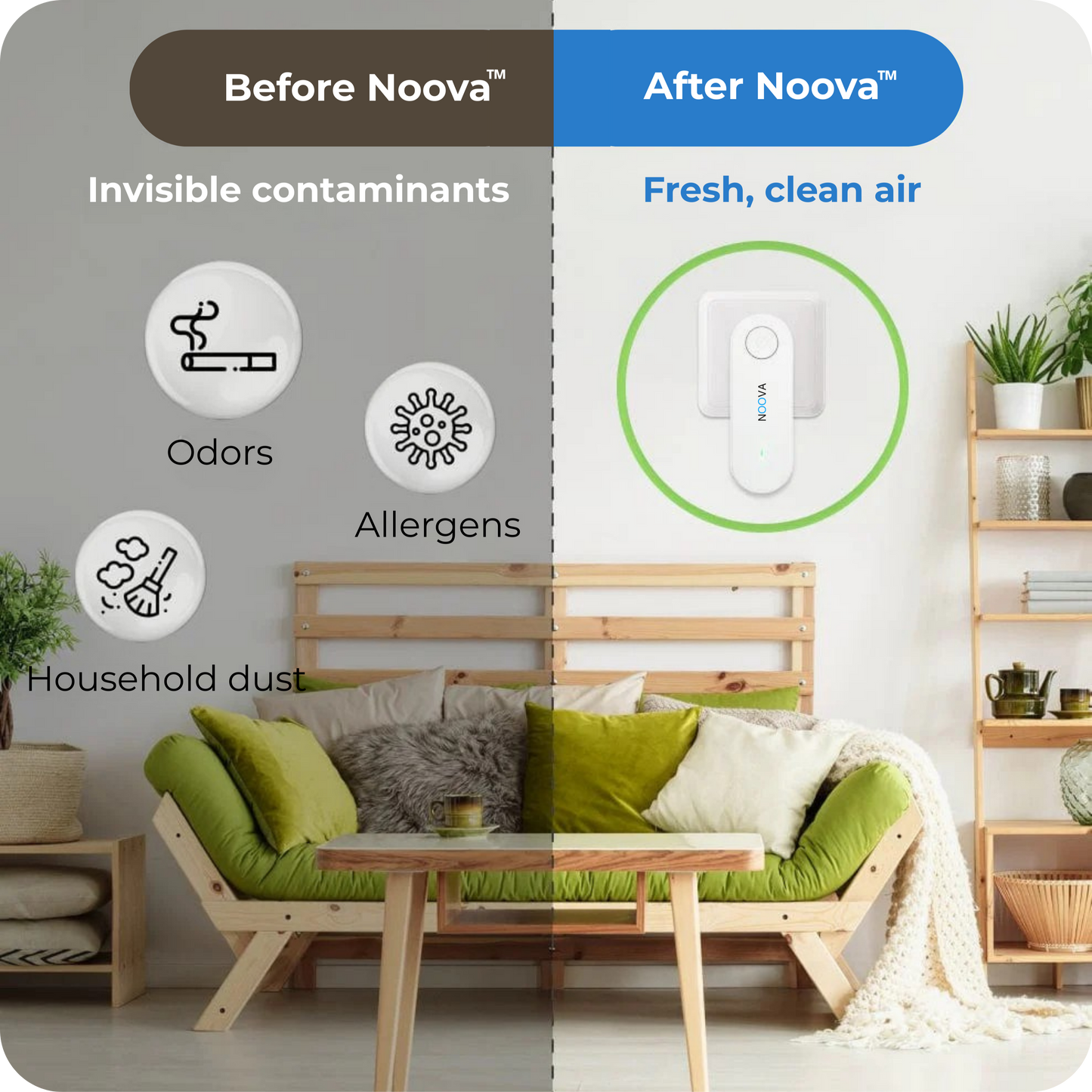 Air purifier — eliminates dog odors and parasites