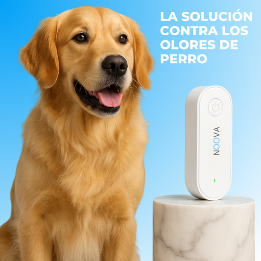 Purificador de aire — elimina los olores de perro y los parásitos